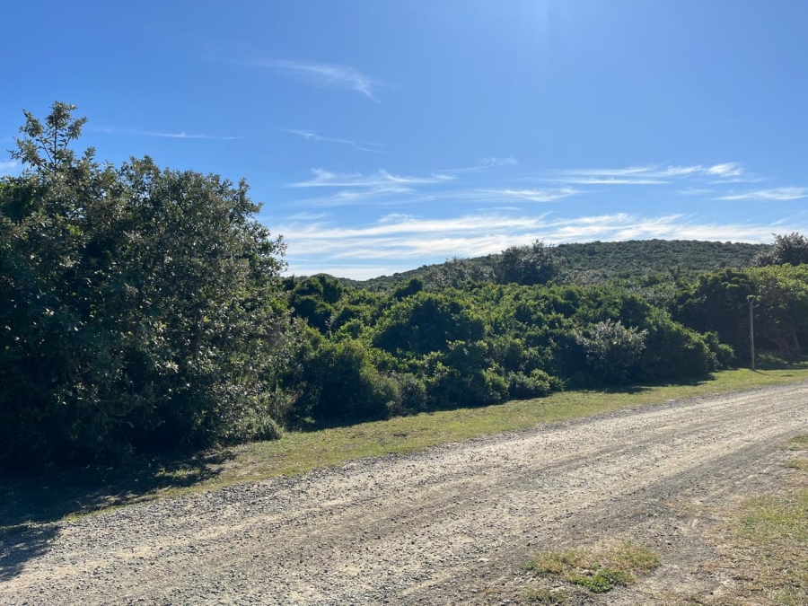 0 Bedroom Property for Sale in Mgwalana Eastern Cape